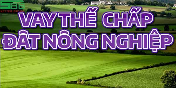 Hướng dẫn vay thế chấp đất nông nghiệp chi tiết nhất 2 Thế nào là vay thế chấp đất nông nghiệp?