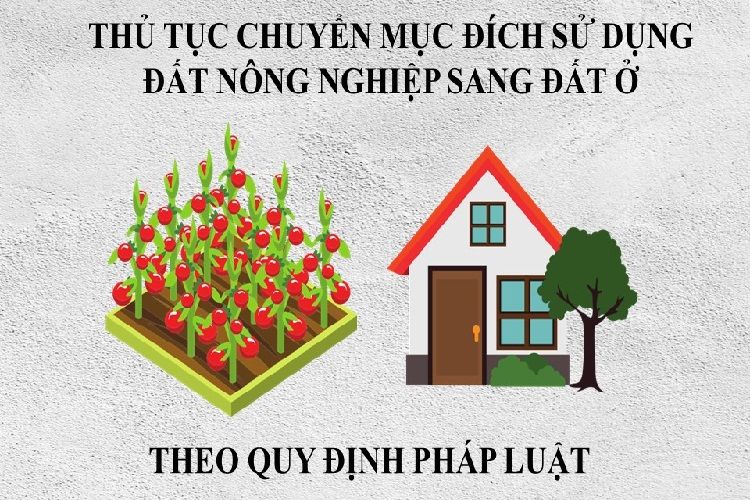 Các trường hợp chuyển đổi mục đích sử dụng đất phải xin phép?