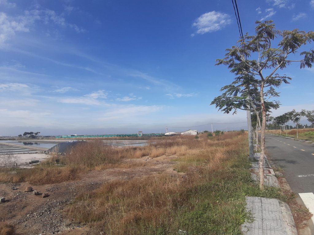 Đất trồng cây lâu năm lên thổ cư: Tất tần tật các thông tin liên quan 2 Đất trồng cây lâu năm lên thổ cư: Tất tần tật các thông tin liên quan