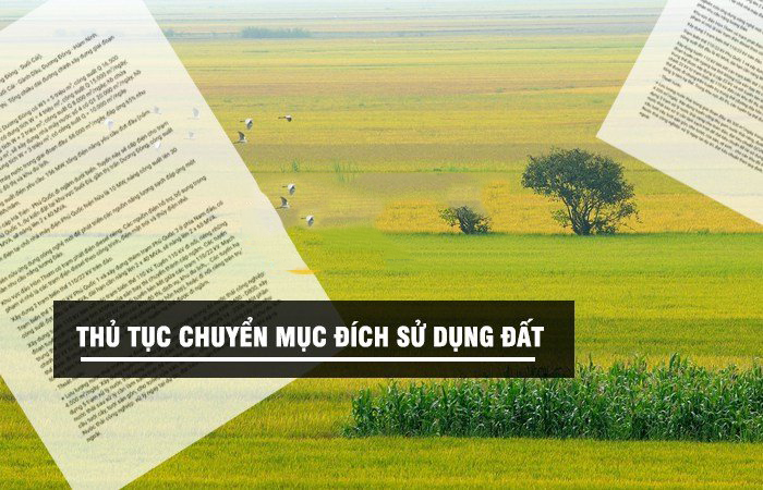 Diện tích tối thiểu chuyển mục đích sử dụng đất: Quy dịnh mới nhất
