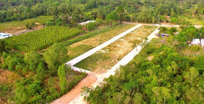 Đất trồng cây lâu năm lên thổ cư: Tất tần tật các thông tin liên quan 4 Đất trồng cây lâu năm lên thổ cư: Tất tần tật các thông tin liên quan