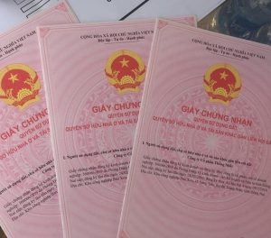 Sổ đỏ đồng sở hữu